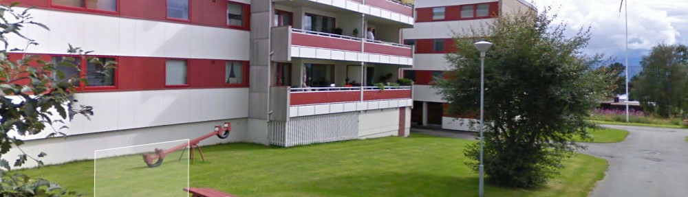 Borettslag Vedtekter